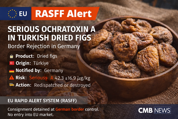 ألمانيا تحذر: تلوث خطير بالأفلاتوكسين أ في التين المجفف التركي