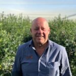 الكرز في أوتاغو يواجه صعوبات بسبب الأمطار التي تدمر الحصاد