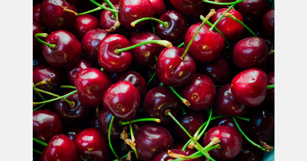 الكرز الأسترالي يصل إلى الصين عبر جسر هونغ كونغ-تشوهاي-ماكاو