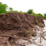 بعد العاصفة: مزارعو الحمضيات في أمريكا يركزون على الصرف