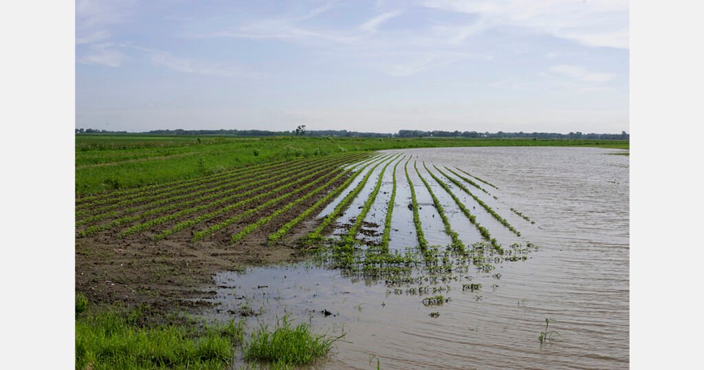 العواصف الأخيرة في إسبانيا تؤثر على ما يقرب من 40,000 هكتار