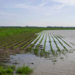 العواصف الأخيرة في إسبانيا تؤثر على ما يقرب من 40,000 هكتار