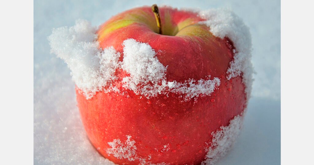 الصقيع القارس يضرب بساتين بولندا: خطر على المحاصيل