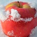 الصقيع القارس يضرب بساتين بولندا: خطر على المحاصيل