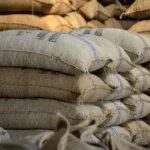 غانا تخفض سعر منتج الكاكاو مع انخفاض أسعار السوق العالمية