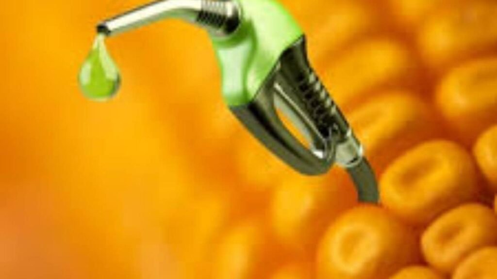 أسعار الإيثانول من الذرة المرتفعة تدفع المزارعين بعيدًا عن البذور الزيتية والبقوليات: دراسة