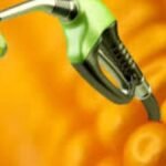 أسعار الإيثانول من الذرة المرتفعة تدفع المزارعين بعيدًا عن البذور الزيتية والبقوليات: دراسة