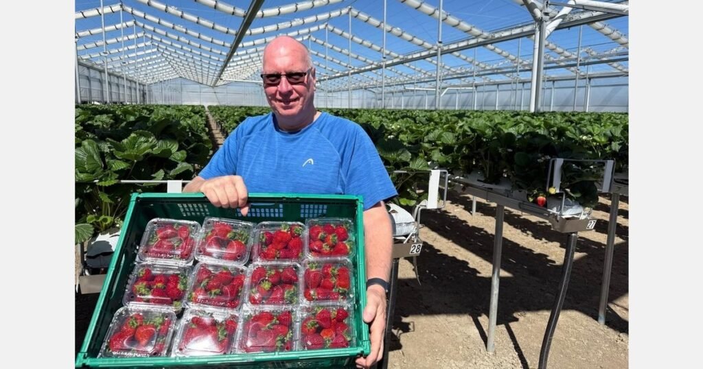 انخفاض ضغط التربس هو أثر جانبي مفيد للاحتباس الحراري ذي السقف القابل للسحب