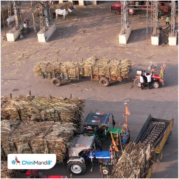 نهاية موسم العصر في الهند: 80 مصنع سكر تغلق أبوابها