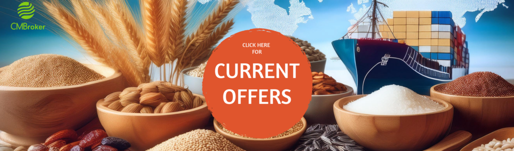 نظرة عامة على إنتاج وأسعار سوق الزبيب العالمي