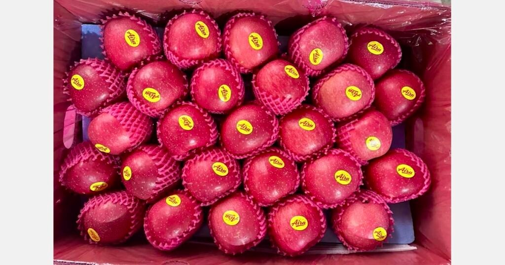 موسم محفوف بالمخاطر لتفاح فوجي في نيبال: 90% مستورد من الصين