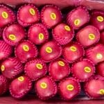 موسم محفوف بالمخاطر لتفاح فوجي في نيبال: 90% مستورد من الصين