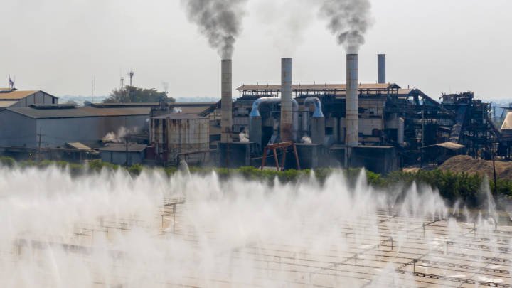 تقرير سكر شرق آسيا من Sugaronline — 30 مايو 2025