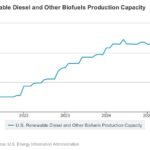 توسع طفيف في قدرة الوقود الحيوي في نوفمبر 2025