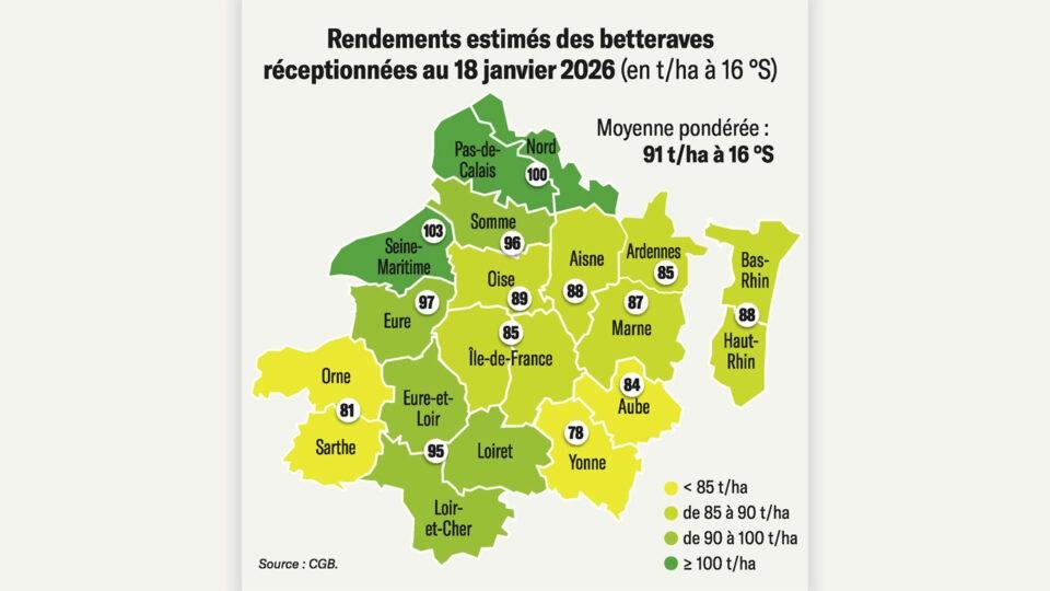 تحليل سوق السكر الأوروبي (الأسبوع 5)