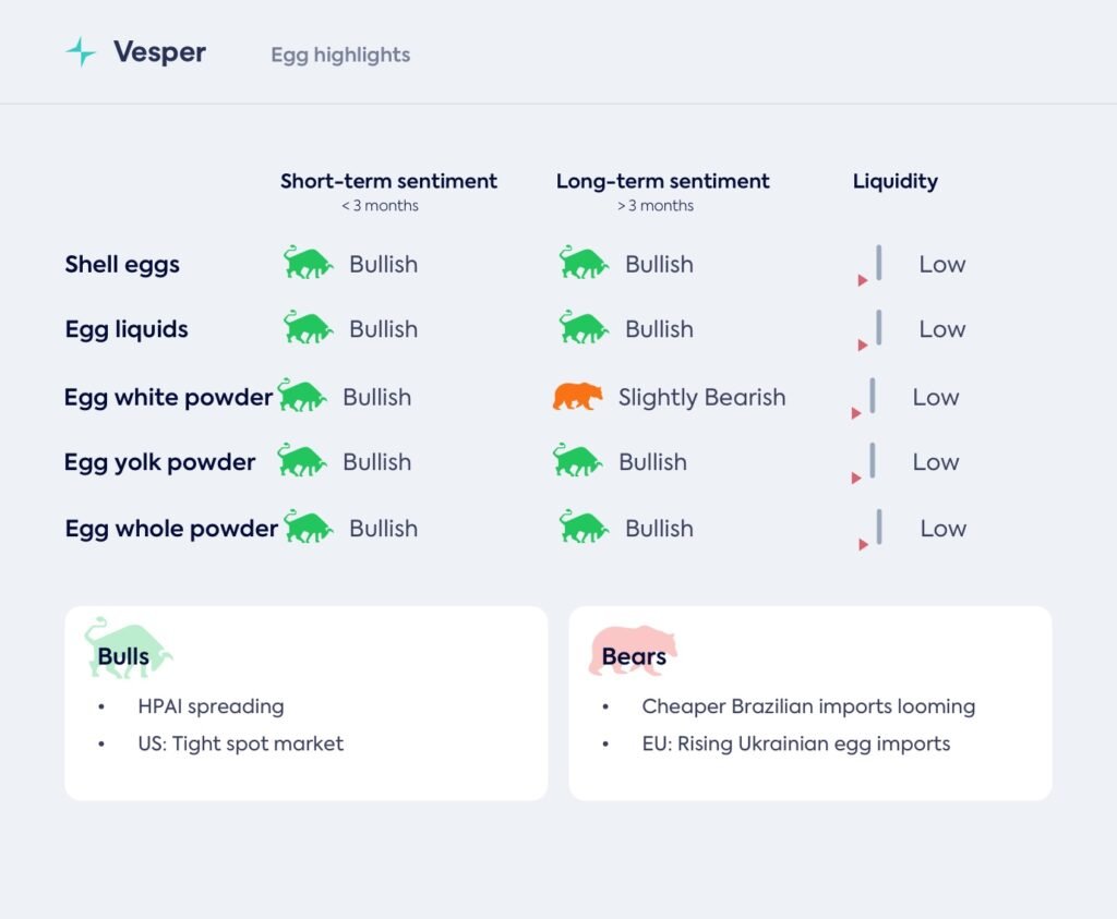 سوق البيض ومشتقاته العالمي – 13 نوفمبر 2025