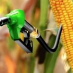 مزيج الإيثانول يقترب من 20٪: الذرة تتصدر الإنتاج