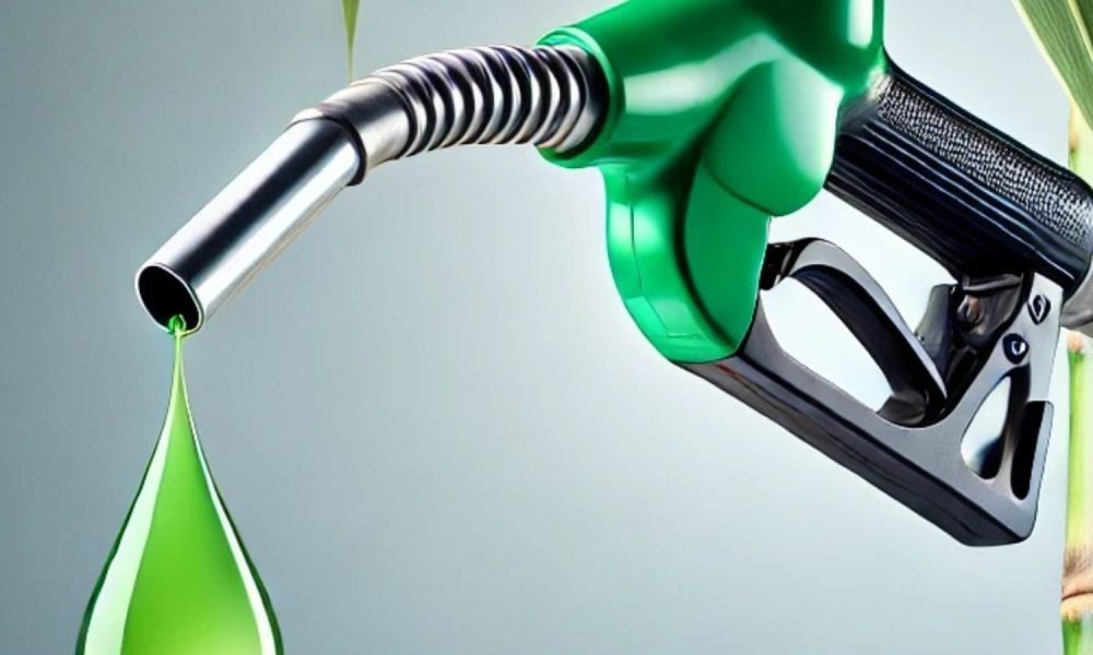 الإيثانول والسكر: وقود قطاع الأعمال الزراعية البرازيلي