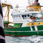 دعوة إلى تصحيح عاجل للائحة مراقبة مصايد الأسماك في الاتحاد الأوروبي