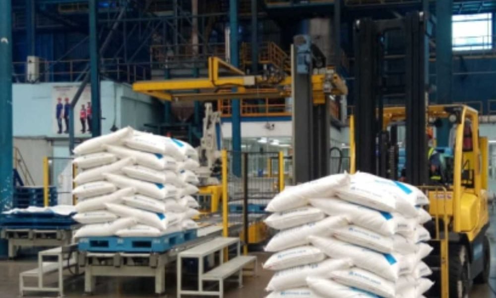 أوروبا تدرس تقييد واردات السكر: هل تحمي المنتجين؟