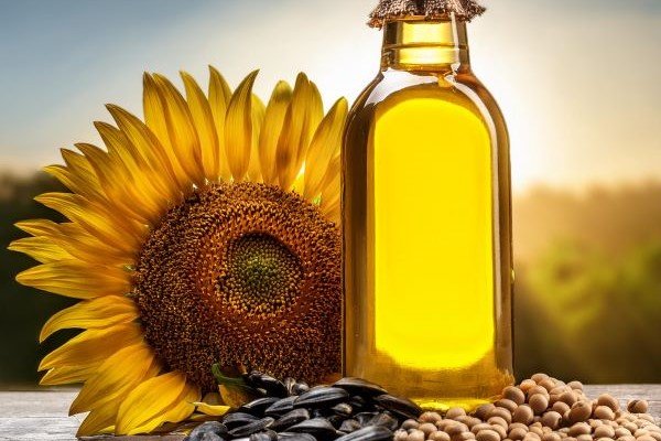 سوق عباد الشمس في مهب الريح: تقلبات الأسعار وتوقعات SAFEX