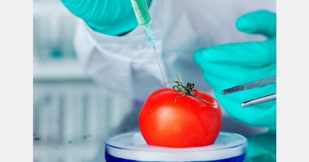 إيقاف شحنة طماطم تركمانية في أورينبورغ: 18 طناً تواجه الحجر الصحي