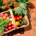 القطاع العضوي: لا خوف من منتجات أمريكا الجنوبية في السوق الأوروبية