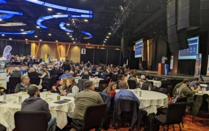 نصيحة عاجلة لمزارعي الألبان: احموا أرباحكم في ظل تقلبات السوق