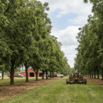 تراجع شحنات البقان الأمريكية: المخزونات تنخفض والأسعار ثابتة