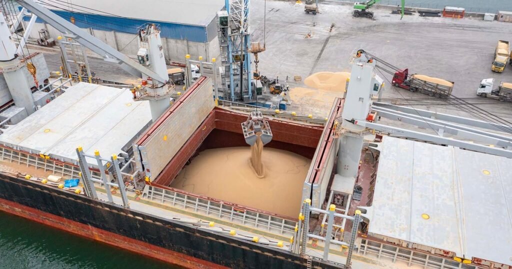 قفزة في مبيعات الذرة تتجاوز التوقعات