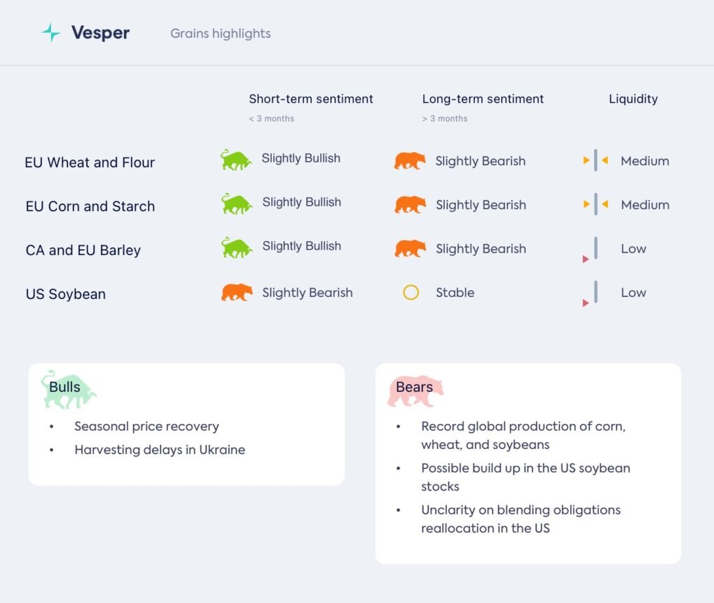 الدببة، الدببة، الدببة
