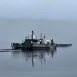 أرقام صادمة: هل نظام تفتيش مزارع السلمون في خطر؟