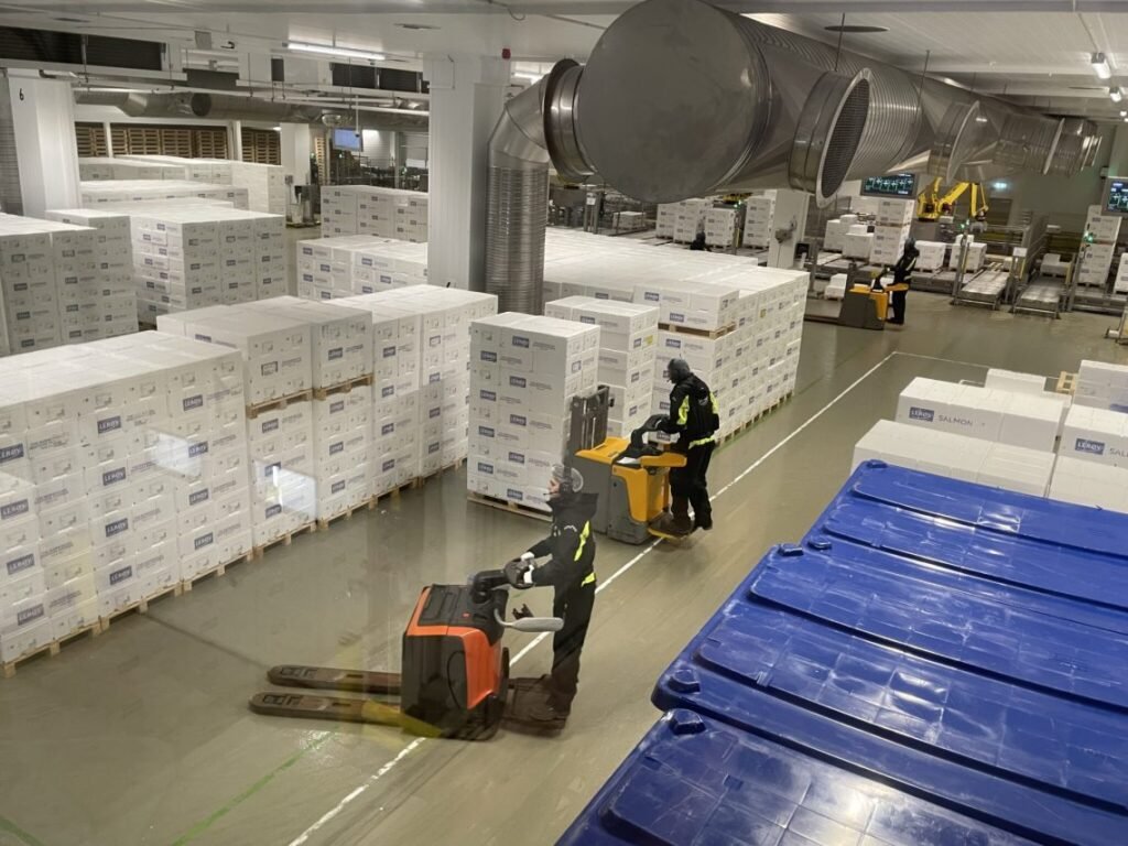 انهيار الأسعار: ‘لم نتعلم من أخطائنا’