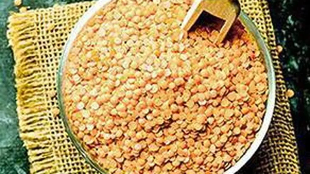 الهند قد تسمح باستيراد البقوليات الأمريكية مثل ‘العدس الأحمر’ بإعفاء من الرسوم