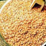 الهند قد تسمح باستيراد البقوليات الأمريكية مثل ‘العدس الأحمر’ بإعفاء من الرسوم