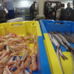 مزاد لوريان المرن