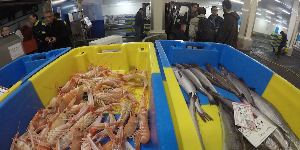 مزاد لوريان المرن