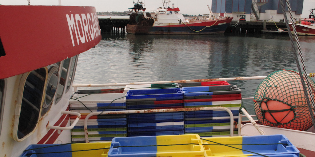 حالة الصناعة لإعادة فتح خليج بسكاي في عام 2027