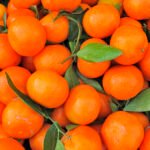 العراق يستورد حمضيات تركية بقيمة 544 مليون دولار أمريكي في عام 2025