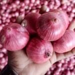 التحول إلى البصل الوردي: مصدرو البصل الهندي يستعدون