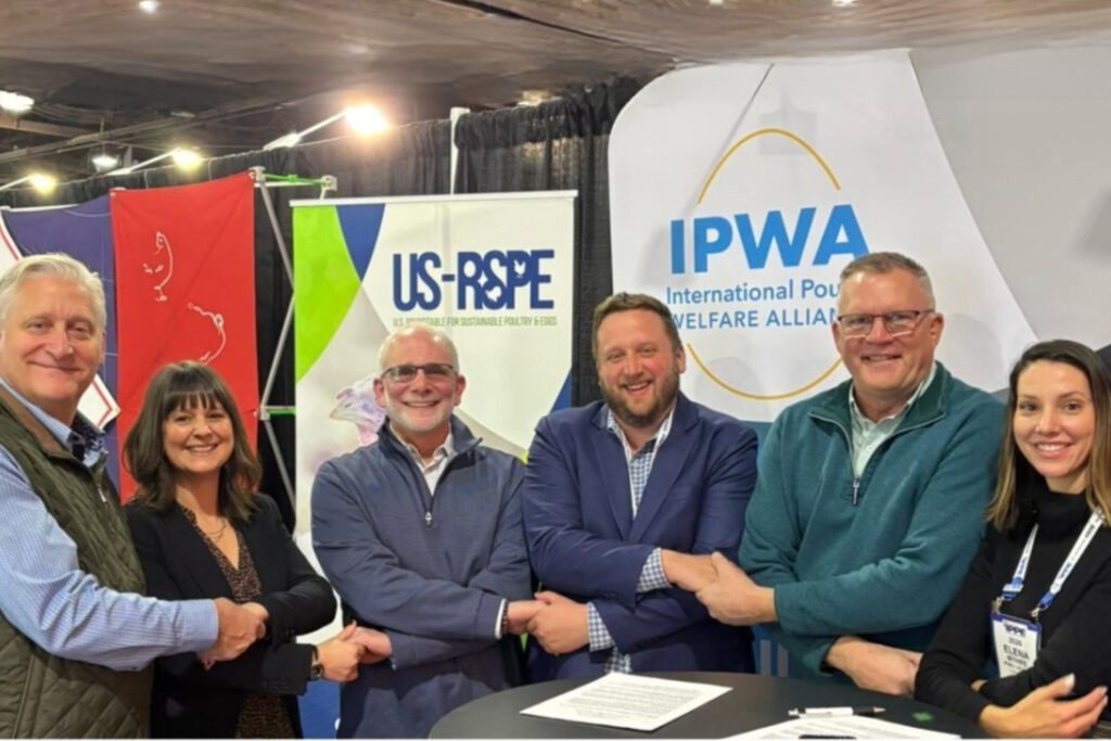 IPWA و IEF يتعاونان لتحسين رعاية الدواجن عالميًا