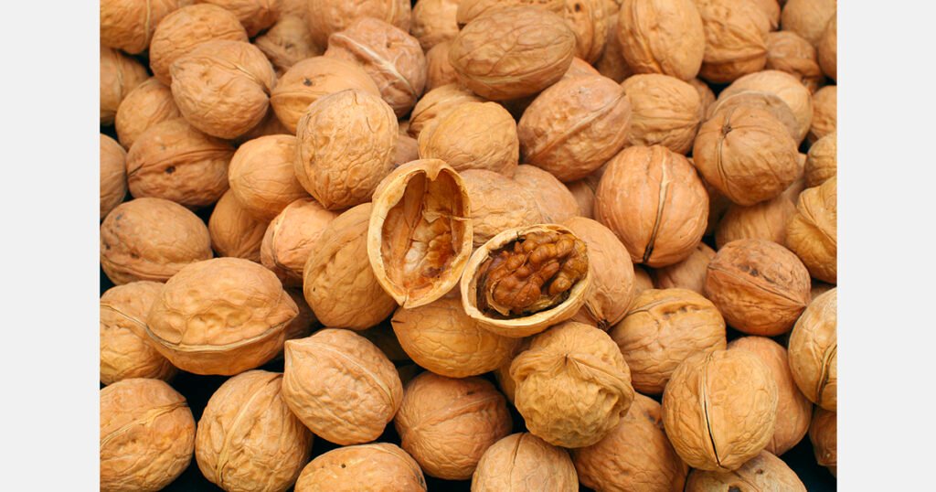 الميزانية الهندية تدعم إنتاج الجوز في جامو وكشمير