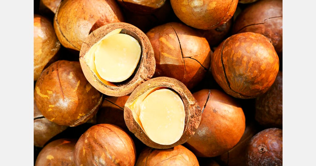 قطاع المكاديميا في جنوب أفريقيا يحذر من التحول في المعالجة