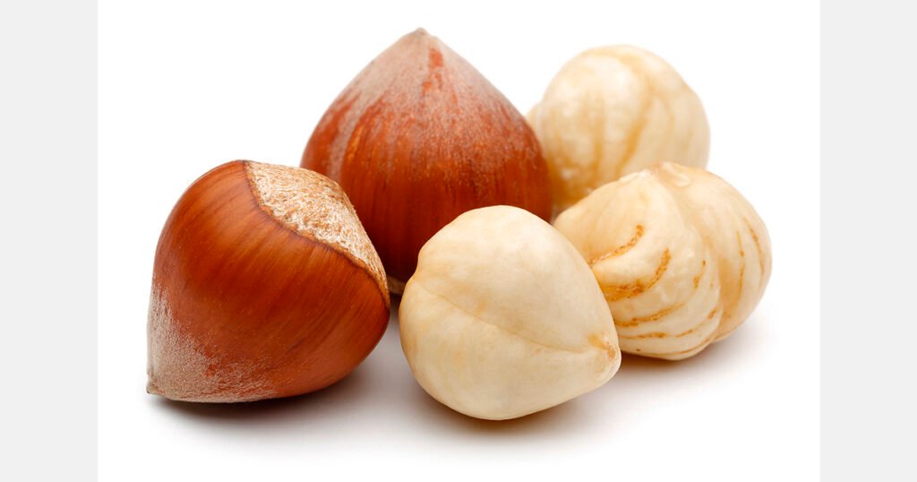 قطاع البندق الجورجي يركز على مراقبة الجودة وسط ارتفاع الصادرات