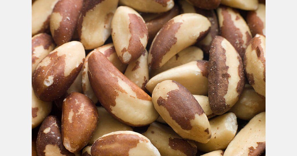 المكسرات البرازيلية تقتحم السوق التركية