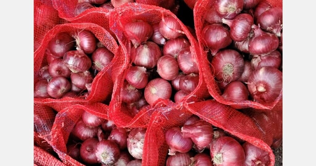 البصل الأحمر الهندي: أسعار قوية في أسواق إعادة التصدير تتجاوز دبي