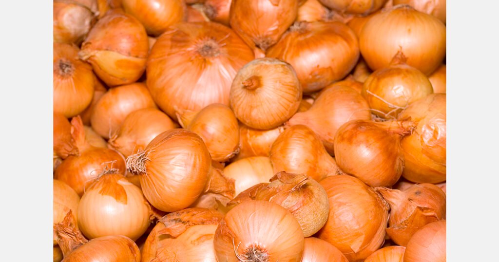 الجمارك النيجيرية تدعم صناعة البصل بقيمة 730 مليون دولار أمريكي