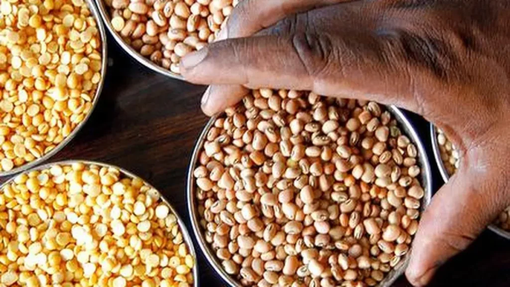 توقعات بانخفاض واردات الهند من البقوليات: 5 ملايين طن فقط في السنة المالية 26