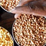 توقعات بانخفاض واردات الهند من البقوليات: 5 ملايين طن فقط في السنة المالية 26