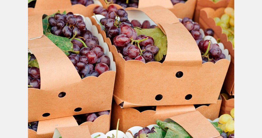 تجميع الصناديق القابلة لإعادة الاستخدام: استرداد التكاليف السريع لتجار التجزئة في آسيا الوسطى